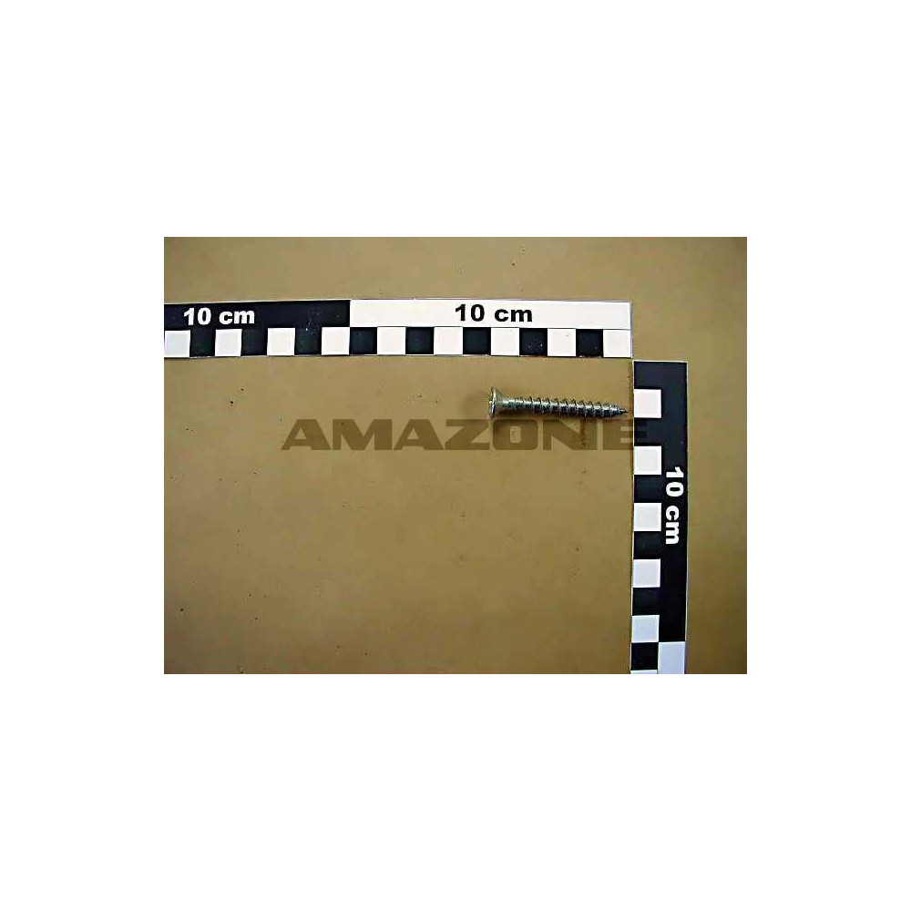 Vis 06X 50 A2Z plaque de tension DD434 Amazone