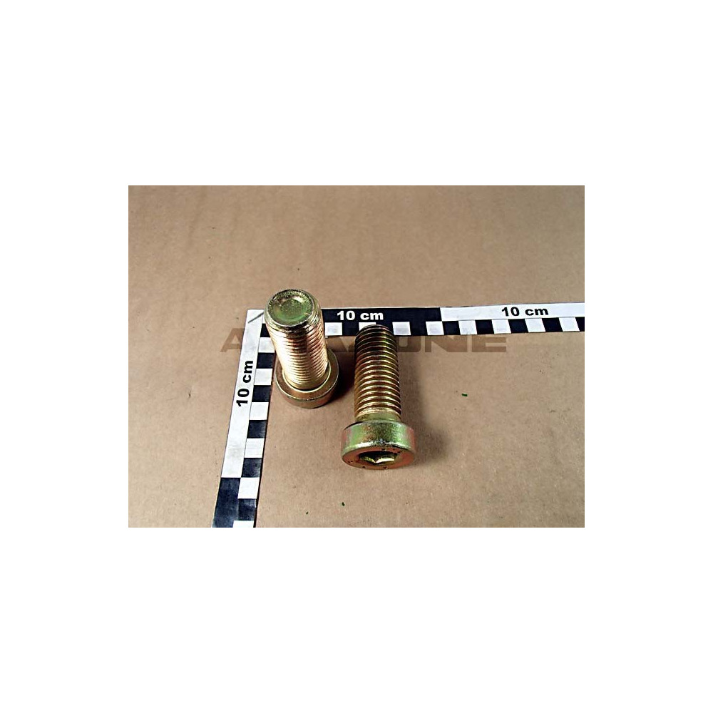 Vis 24X 60 8.8 A2G DD438 Amazone