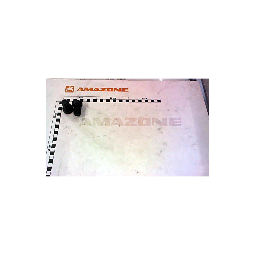 Vis 20X 30 7984 8.8 DD461 Amazone