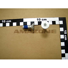 vis 10x 30 10642 10.9 fiznl-480h AMAZONE DD469