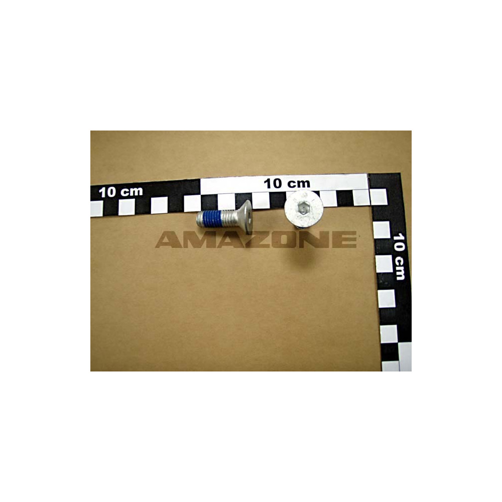 vis 10x 30 10642 10.9 fiznl-480h AMAZONE DD469