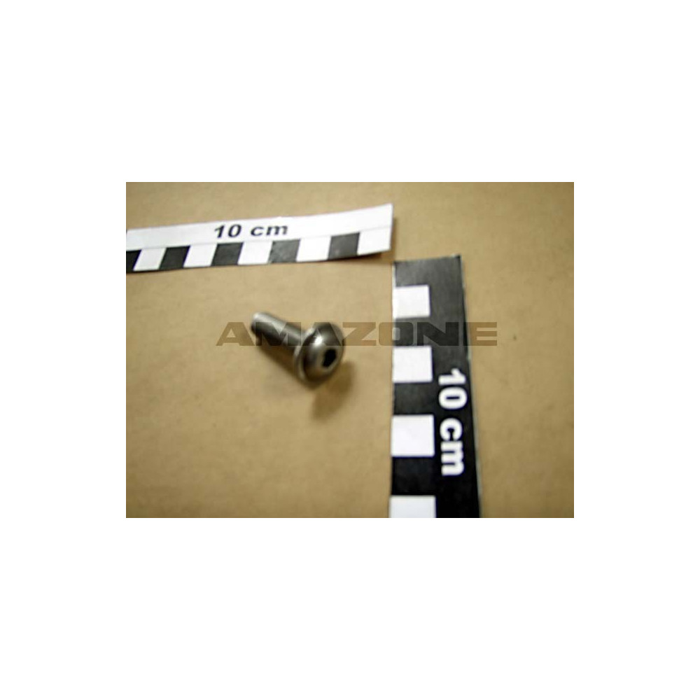 Vis 08X 25 7380 A2-70 DD479 Amazone