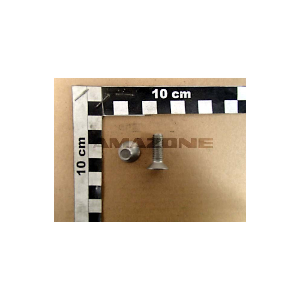 Vis 08X 25 10642 A2-70 E+S DD485 Amazone