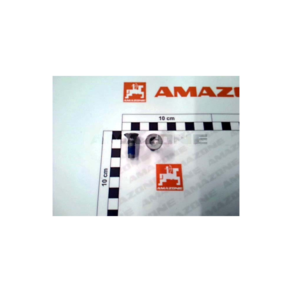 Vis 08X 25 10642 10.9 flnl DD493 Amazone