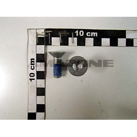 Vis 10X 30 10642 10.9 FIZNL-480H-MK DD502 Amazone