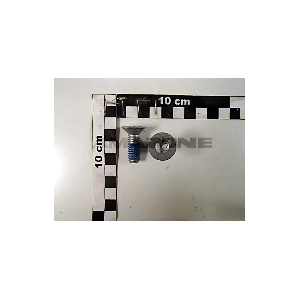 Vis 10X 30 10642 10.9 FIZNL-480H-MK DD502 Amazone