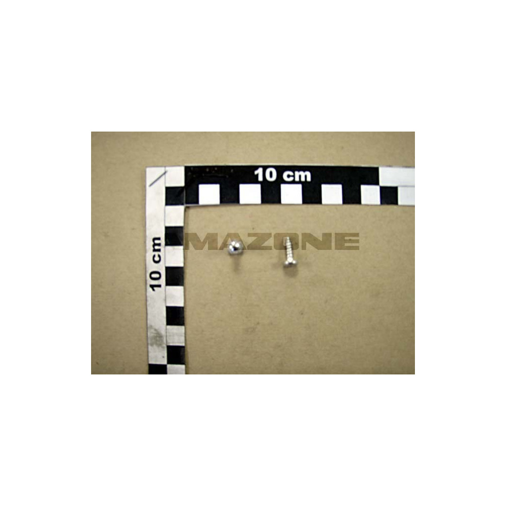 Vis 4.2 X 13 DD507 Amazone
