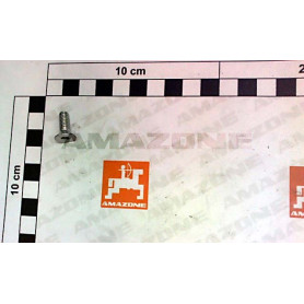Vis 6X 16 8.8 A2G 10642 EDX DD515 Amazone