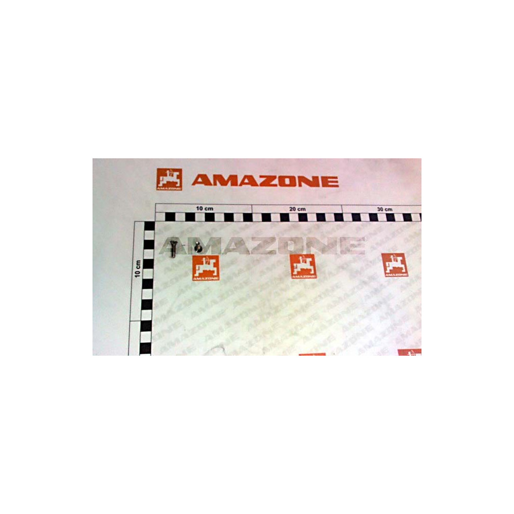 Vis 4 X 16 DD519 Amazone