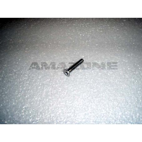 Vis 5X30 A2-70 Réf. DD520 - AMAZONE Vis 5X30 A2-70 Réf. DD520 - AMAZONE