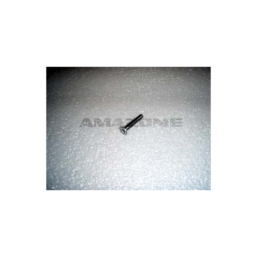 Vis 5X30 A2-70 DD520 Amazone