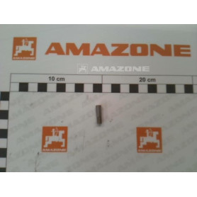 Goujon filete 6X 20 DD528 Amazone