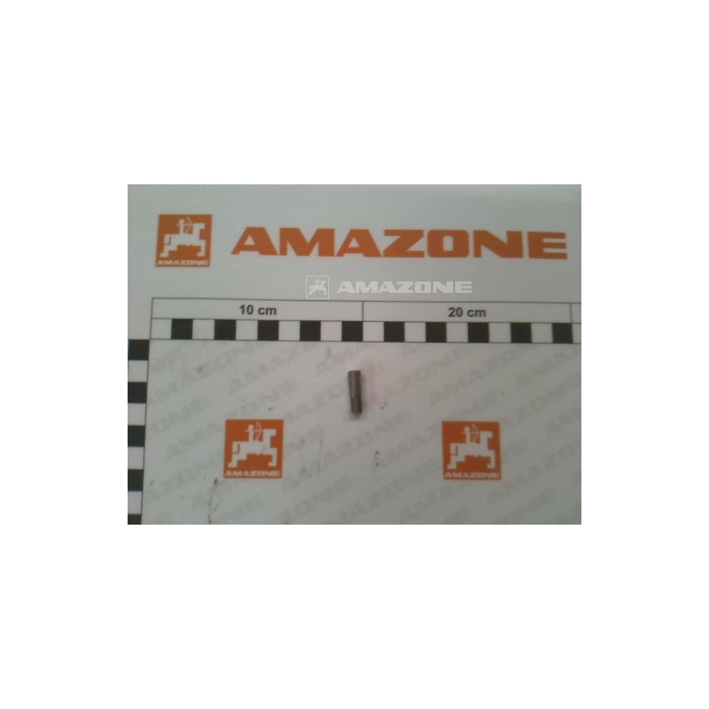 Goujon filete 6X 20 DD528 Amazone