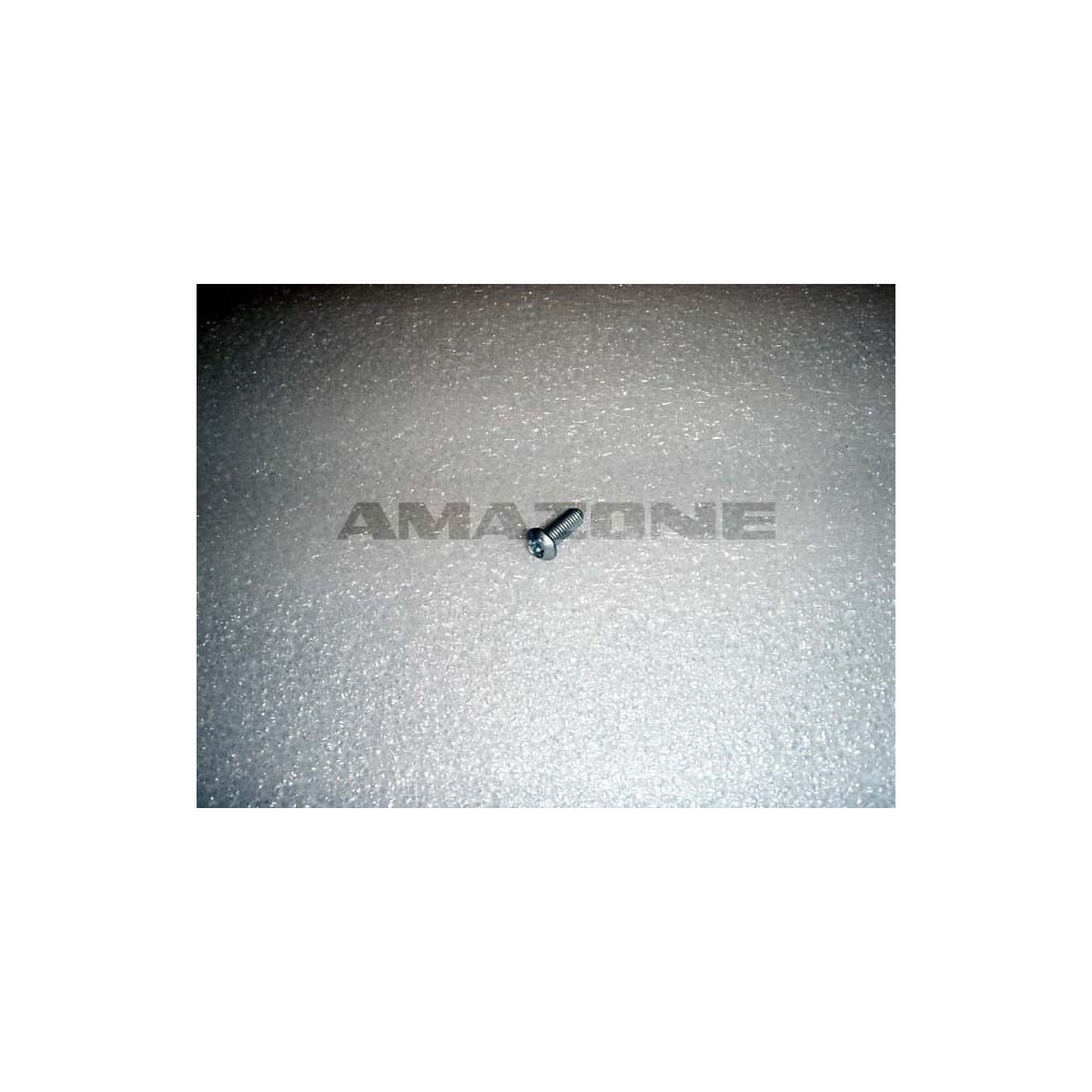 Vis 6X16 10.9 DD538 Amazone