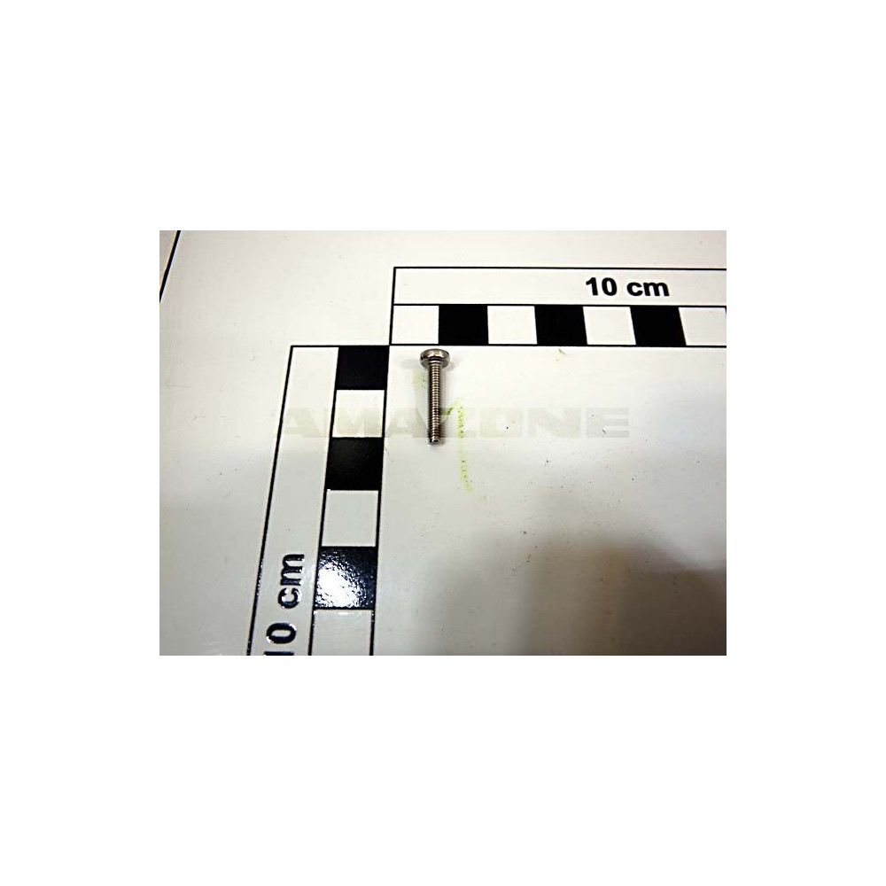 Vis 3 X 16 A2-70 DD553 Amazone