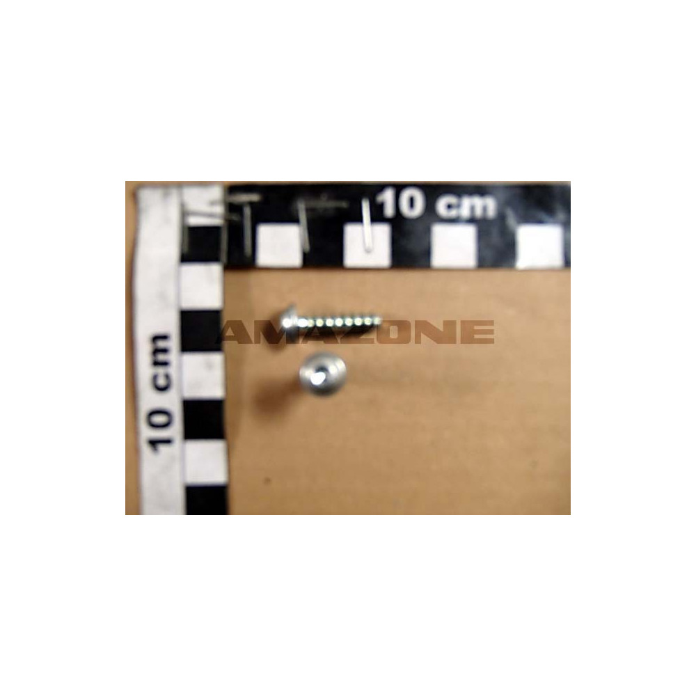 Vis 5 X 20 DD546 Amazone