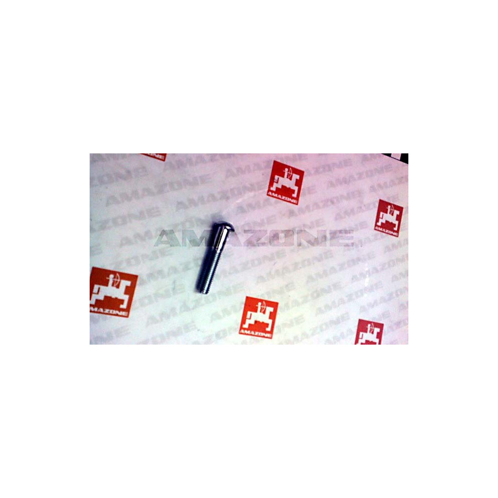 Vis 8X45 10.9 DD566 Amazone