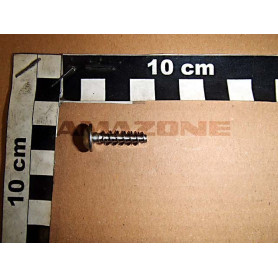 Vis 6X22 TX25 A2 DD567 Amazone