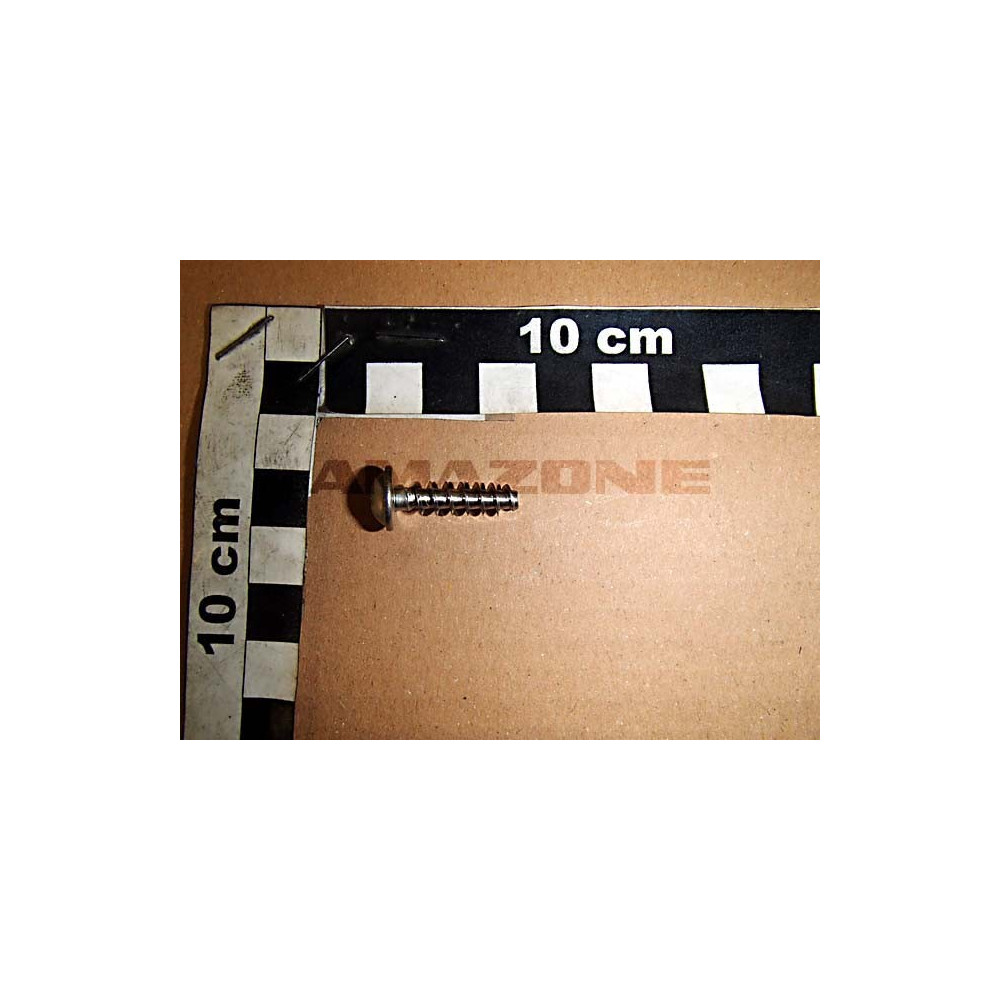 Vis 6X22 TX25 A2 DD567 Amazone