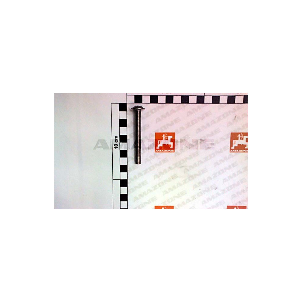 Vis 8X80 A2-70 DD569 Amazone
