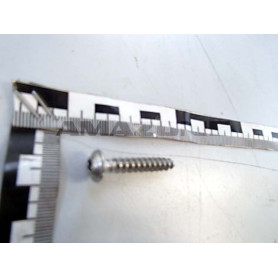 Vis 6X35 TX25 DD568 Amazone