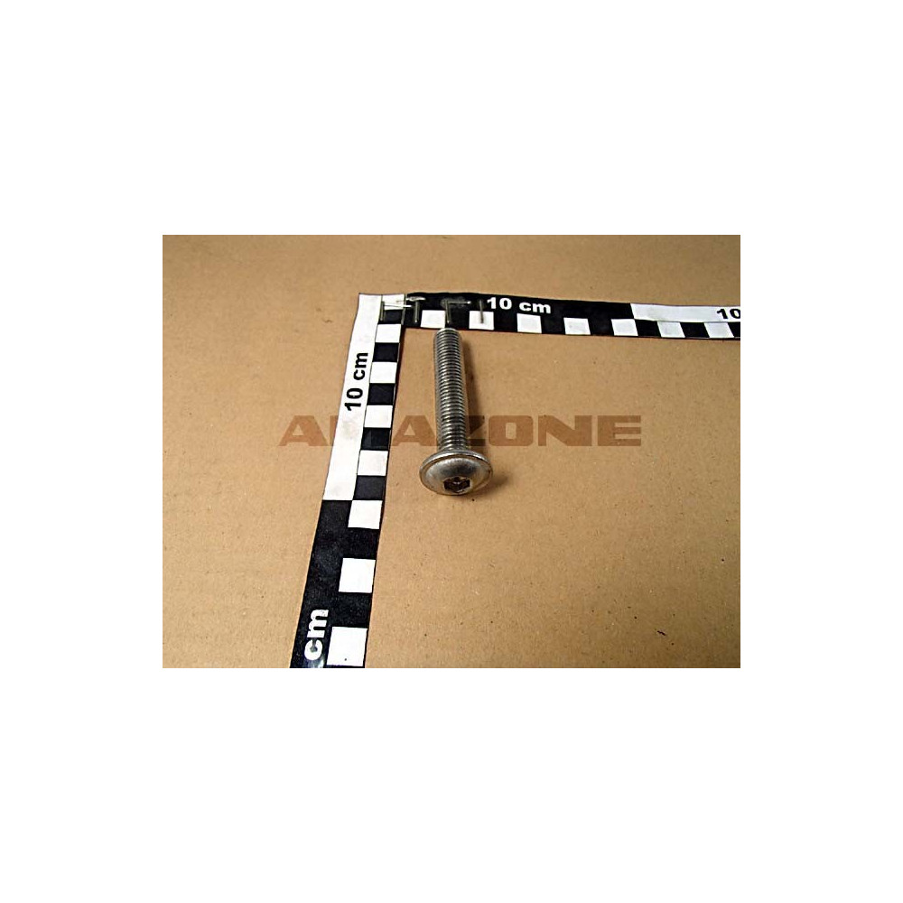 Vis 12X65 A2-70 UF DD581 Amazone