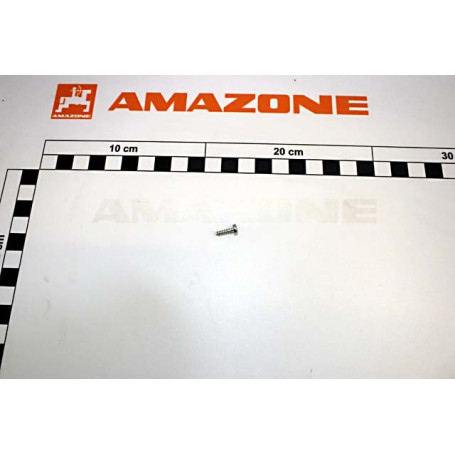 Vis capot mot. jalonnage ADP01 Réf. DD589 - AMAZONE Vis capot mot. jalonnage ADP01 Réf. DD589 - AMAZONE
