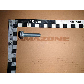 Vis 10 X 1 X 40 10.9 DD591 Amazone