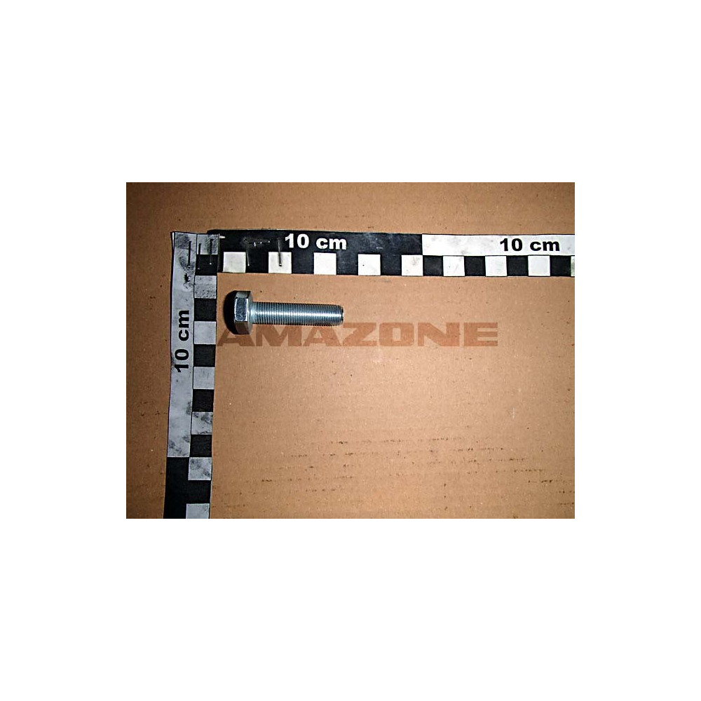 Vis 10 X 1 X 40 10.9 DD591 Amazone