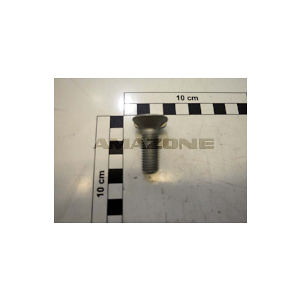 Vis 12*35 | par 25 U DD598 Amazone