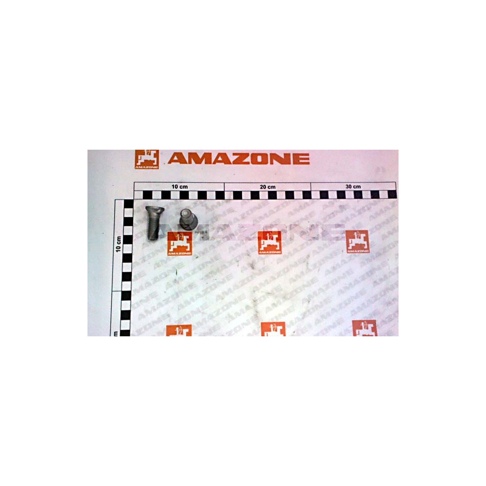 Vis 12X35 | par 50 U DD599 Amazone