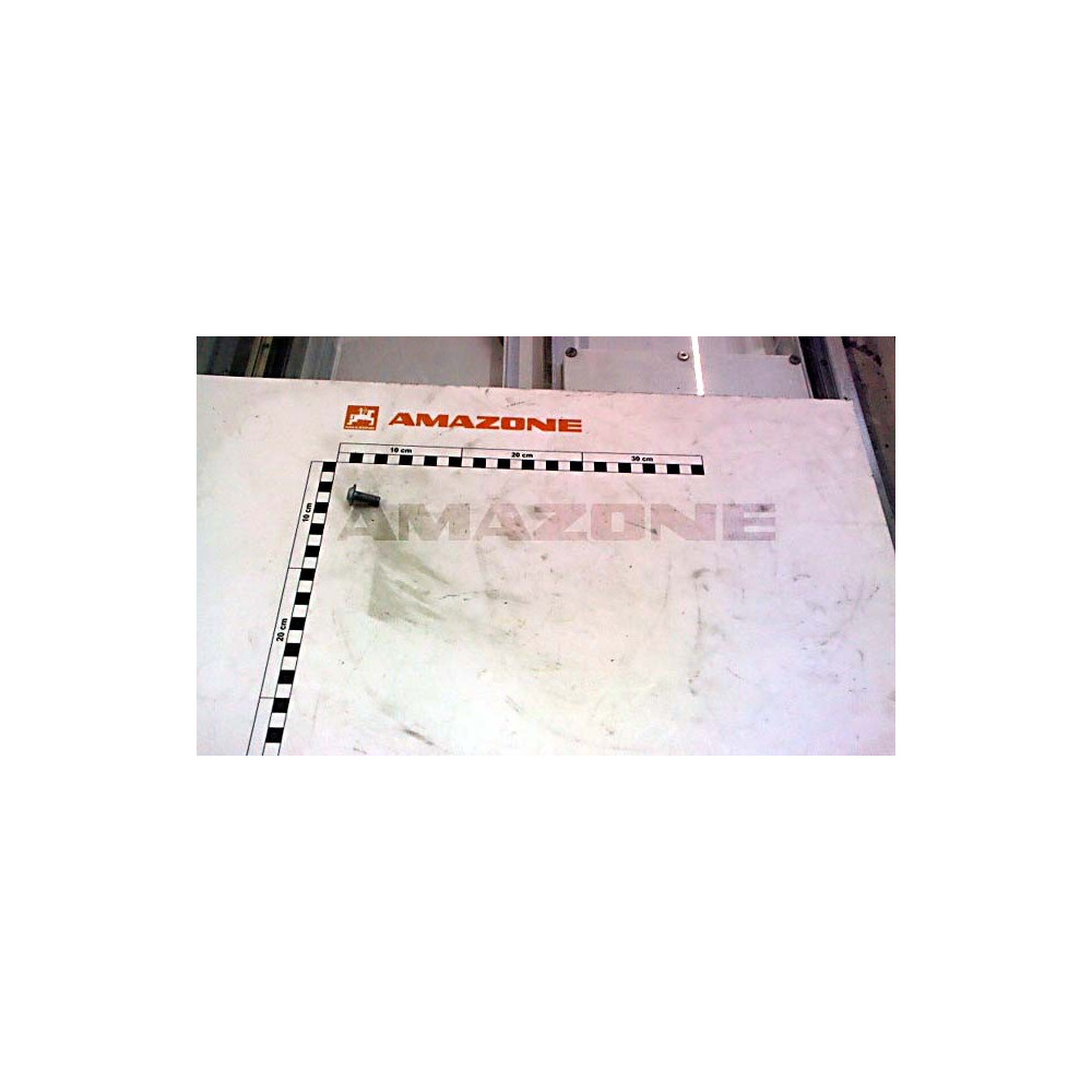 Vis 8X20 10.9 DD602 Amazone