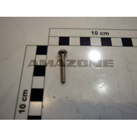 Vis DD604 Amazone