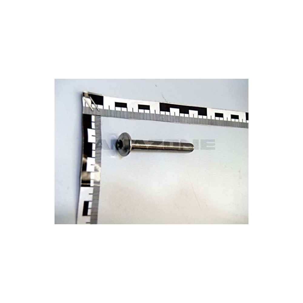 Vis 8X65 TX40 A2-70 DD605 Amazone