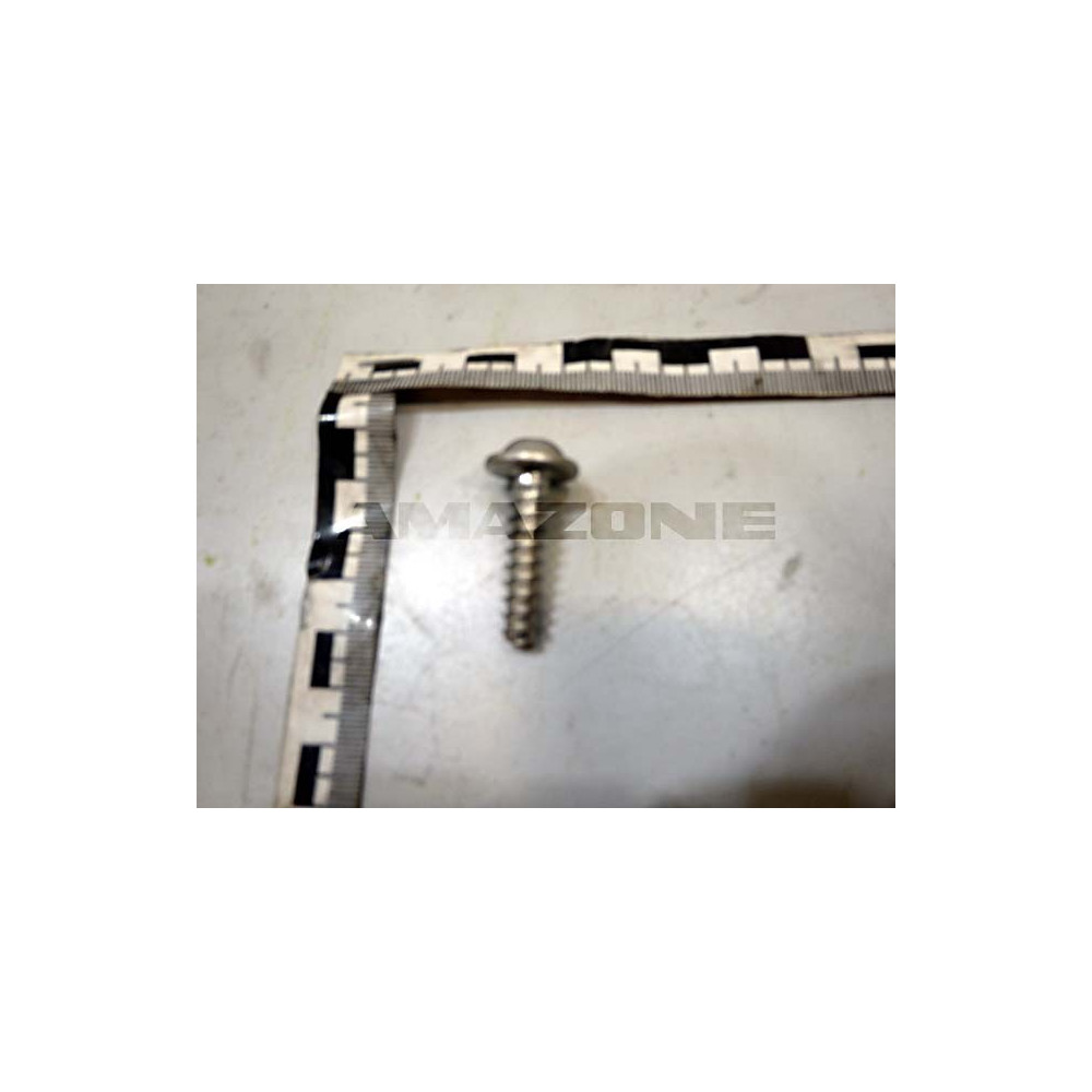 Vis 8X30 TX40 A2 DD611 Amazone