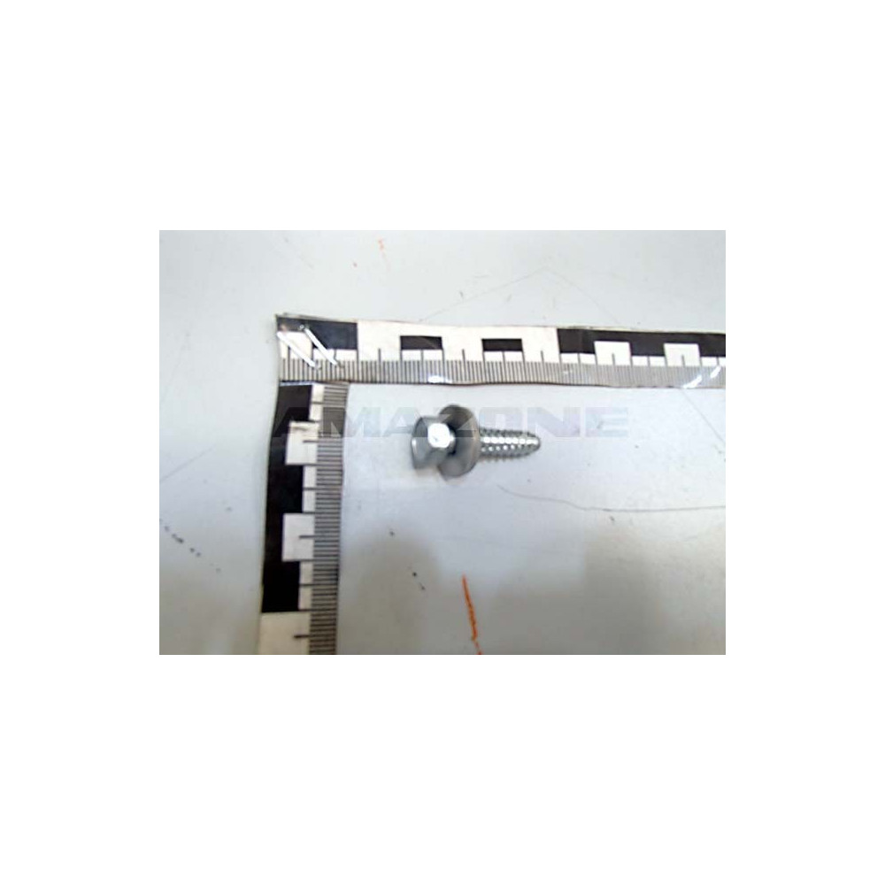 Vis 6,3X25 A2 DD626 Amazone