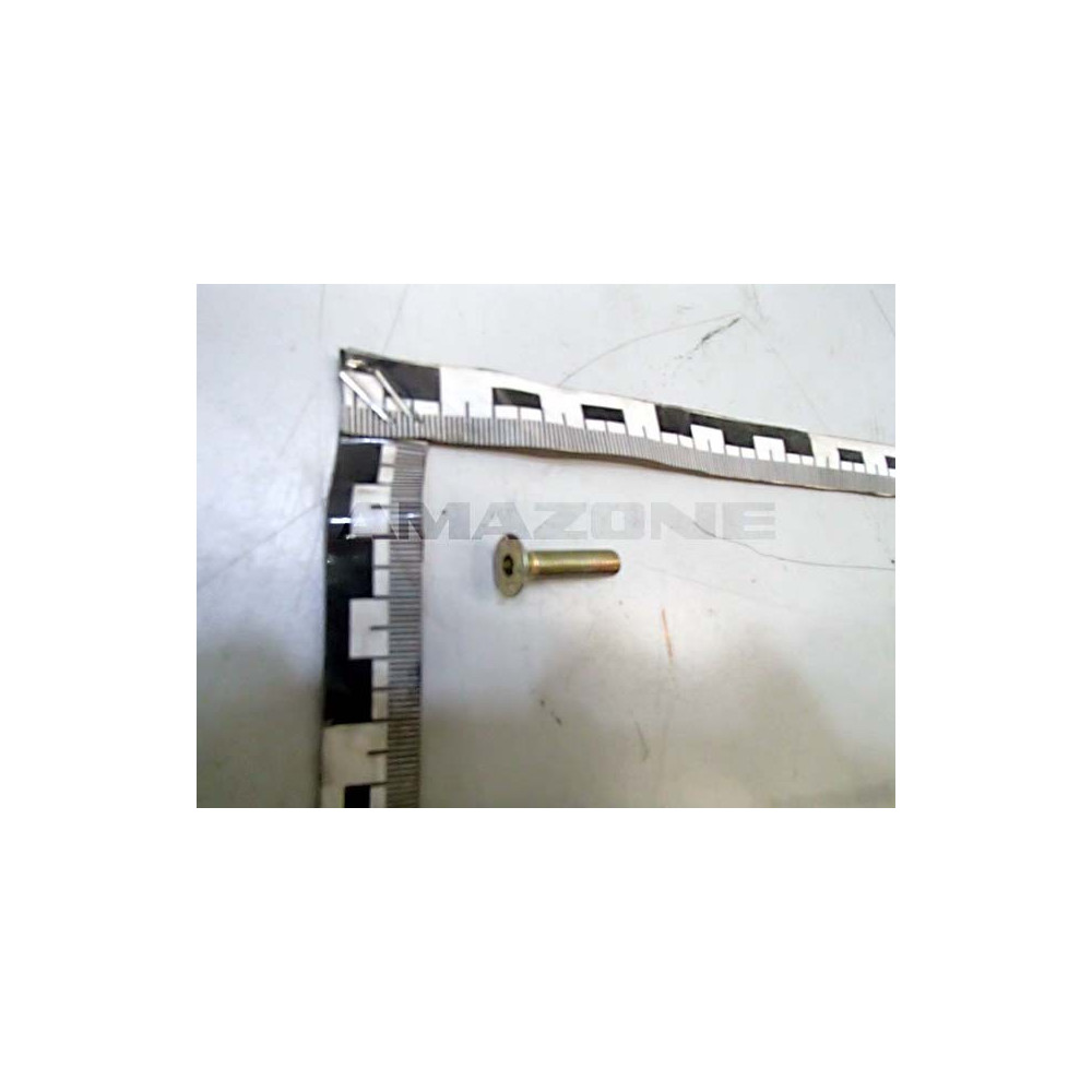 Vis 6X 25 8.8 DD628 Amazone