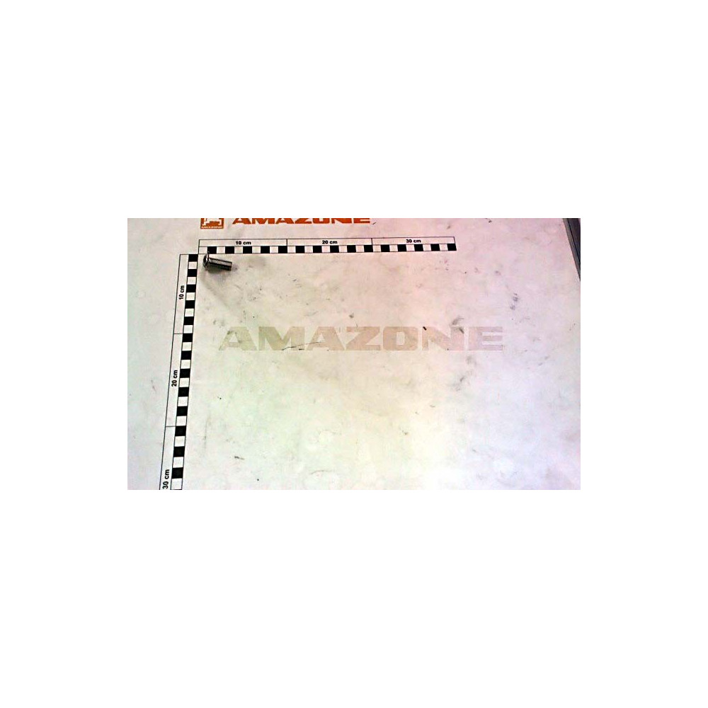 Vis 10 X 25 DD632 Amazone