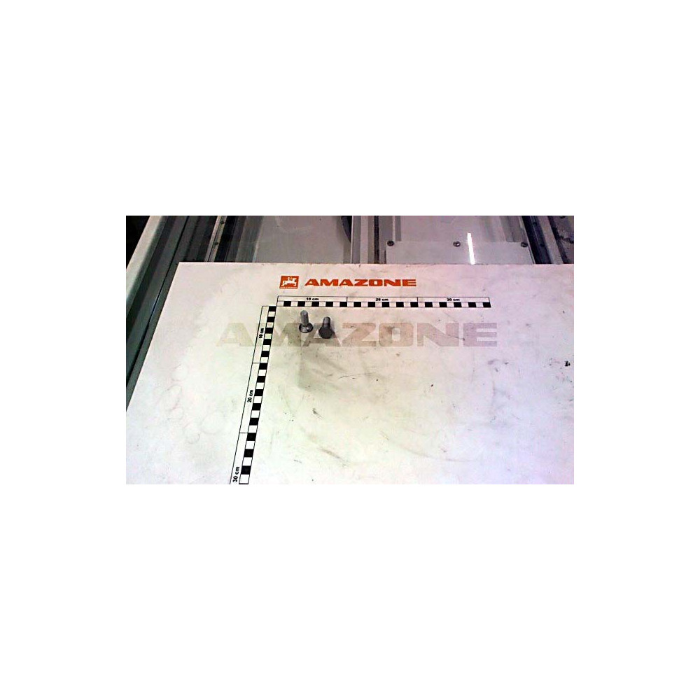 Vis rasette DD617 Amazone