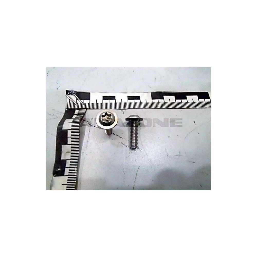 Vis 6X20 TX30 A2-070 DD641 Amazone