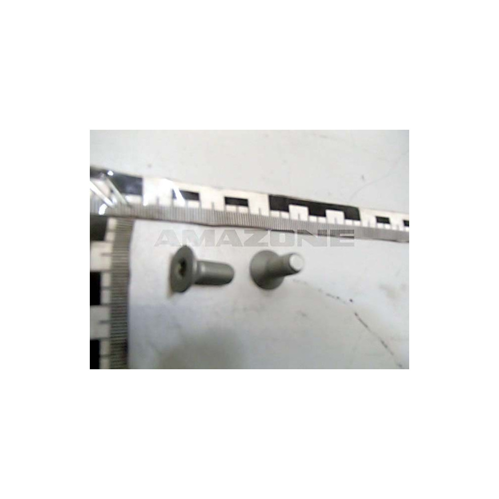 Vis 8 X 20 10.9 DD644 Amazone