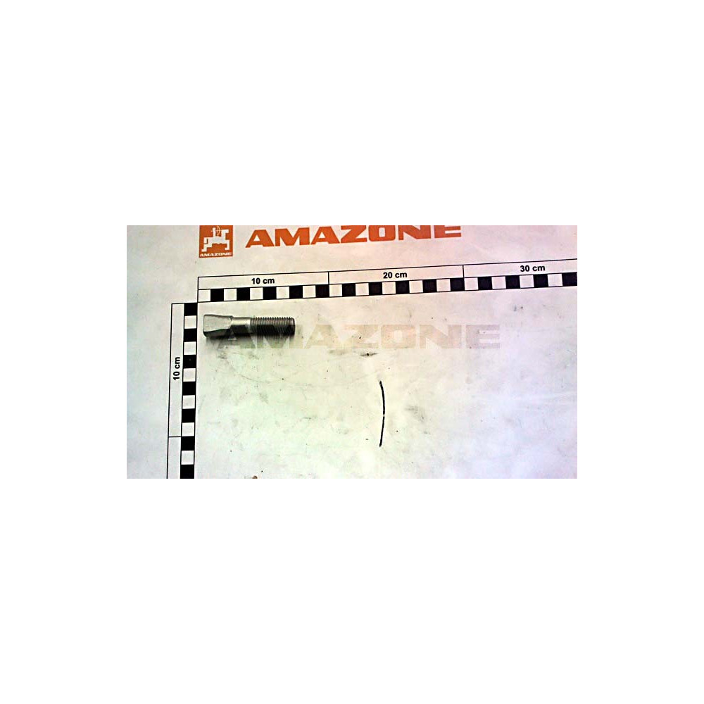 Vis 12X 65 12.9 DD642 Amazone