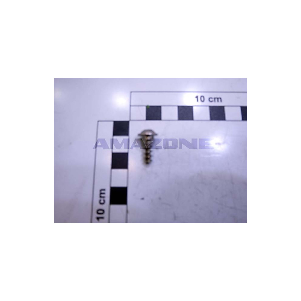 Vis 6X16 TX25 A2 DD660 Amazone