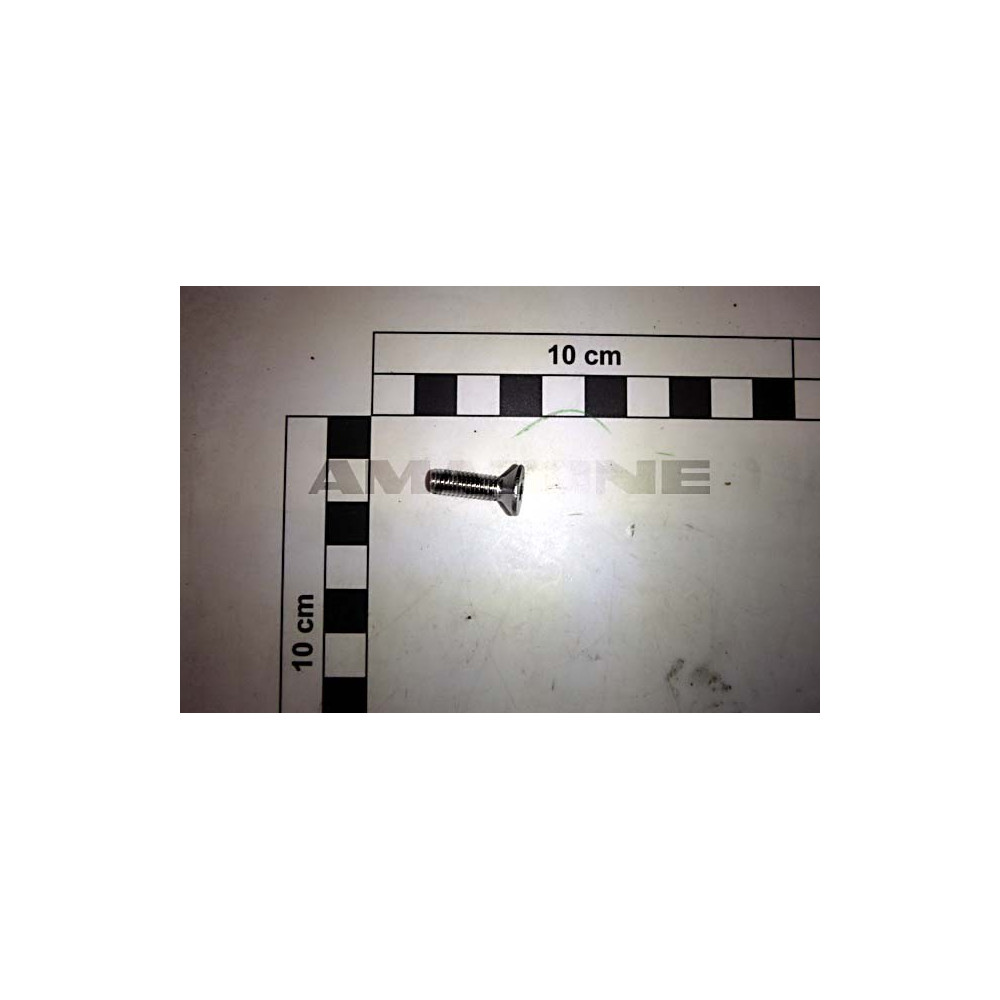 Vis 6 X 20 A2-070 DD659 Amazone