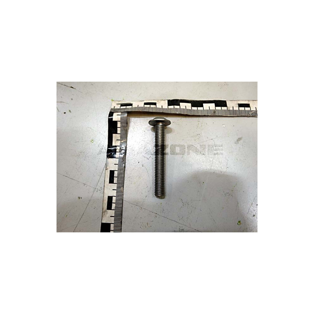 Vis 8 X 55 DD669 Amazone