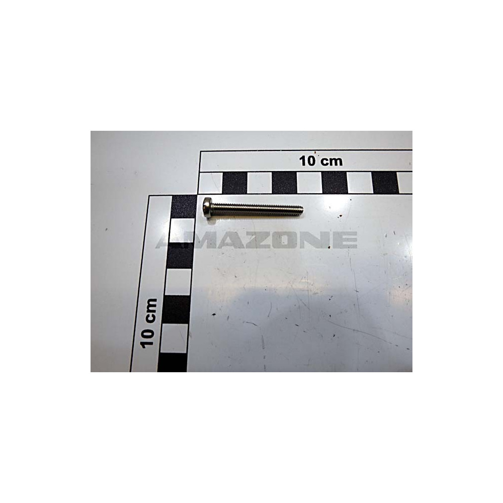 Vis 4 X 35 DD677 Amazone