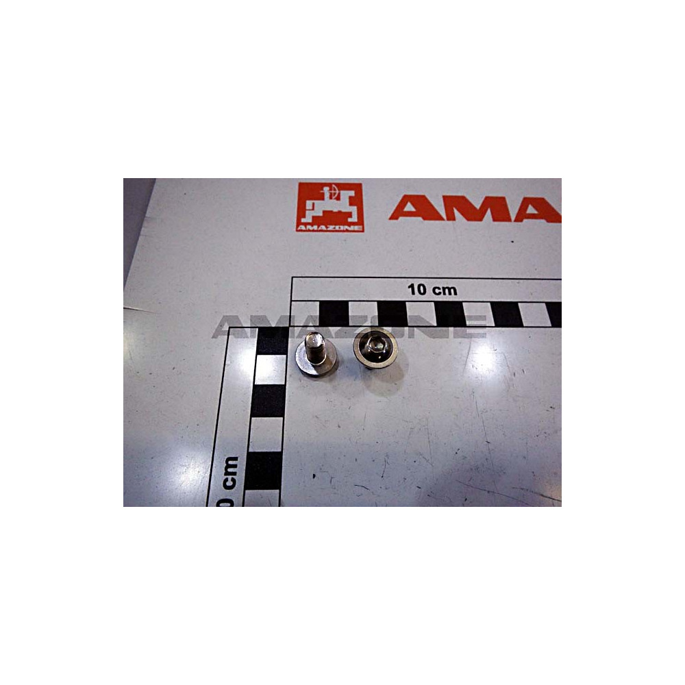 Vis 6X12 A2-70 DD679 Amazone