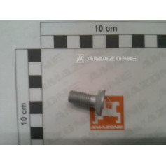 Vis 10 X 25 Réf. DD684 - AMAZONE Vis 10 X 25 Réf. DD684 - AMAZONE