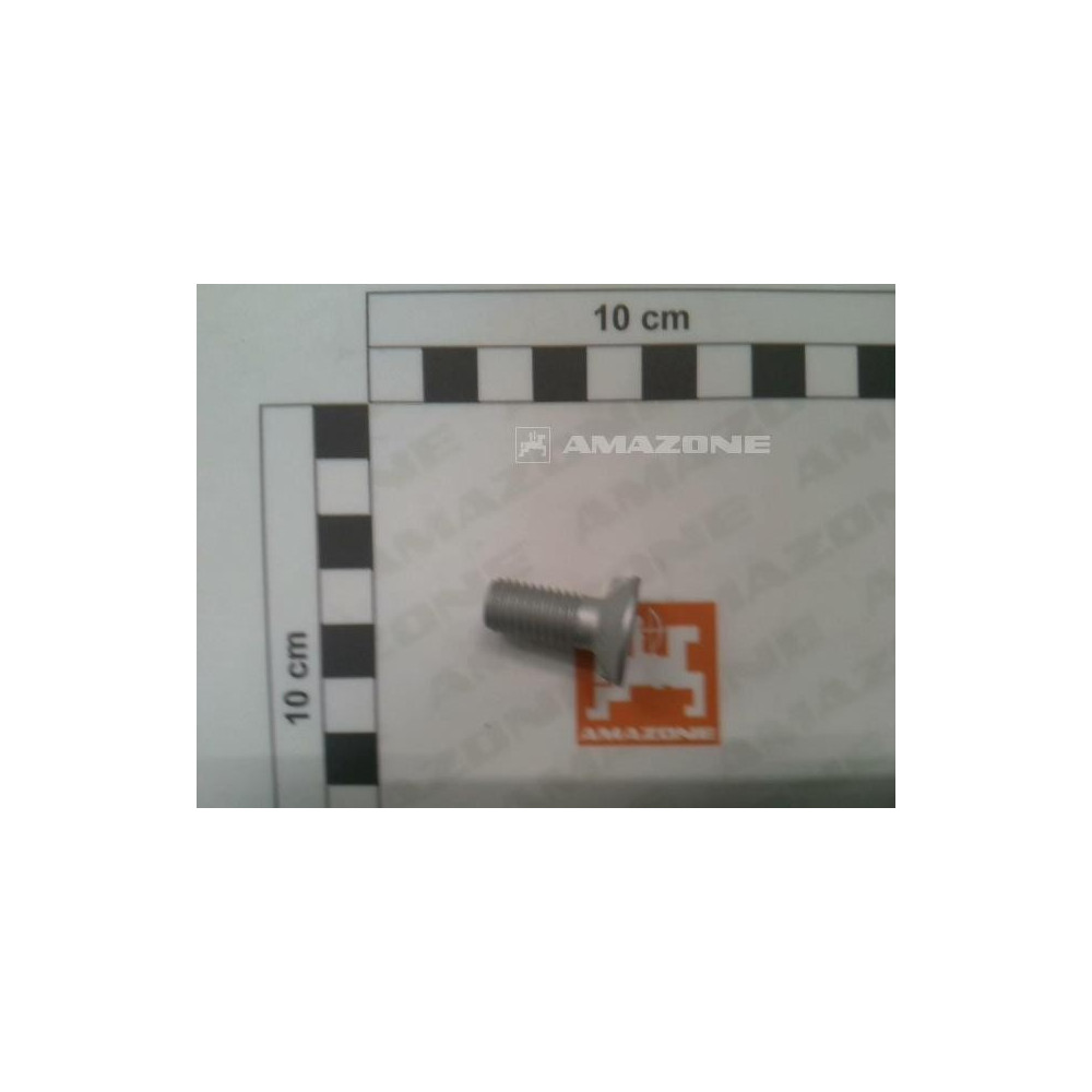 Vis 10 X 25 DD684 Amazone