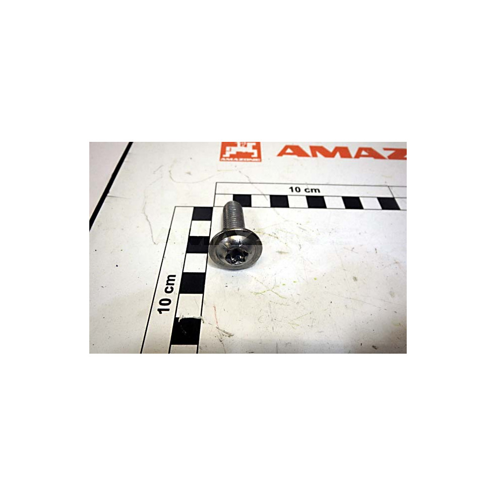 Vis 10 X 30 TX50 A2-70 DD694 Amazone